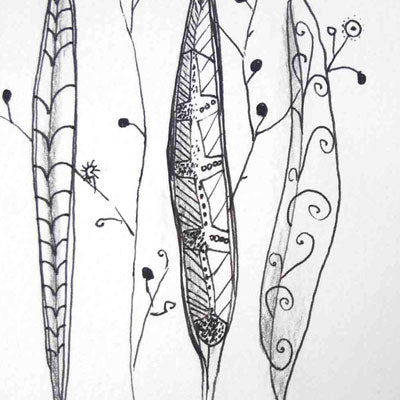 Contemporary modern pod sketches leaf. idalet