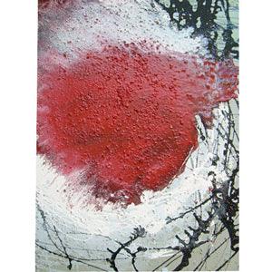 2007. Burst and Red Alert. Contemporary interior design. - defineartgifts