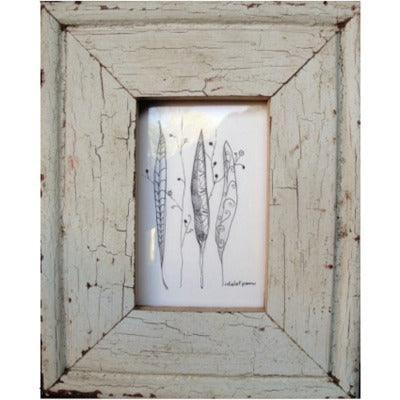 2008 Pods-a framed sketch on paper of pods