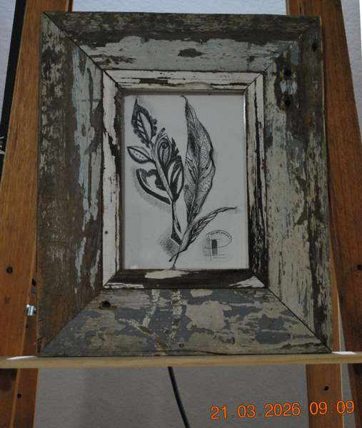2008 Leaves-a framed leaf sketch by Idalet