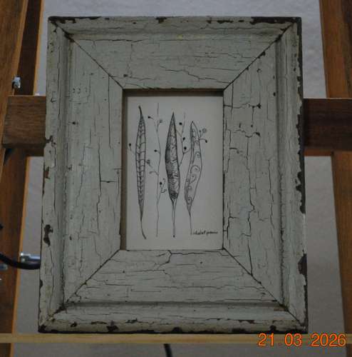 2008 Pods-a framed sketch on paper of pods - idalet