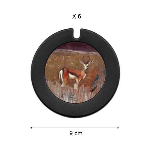Licence Disc Holder South Africa